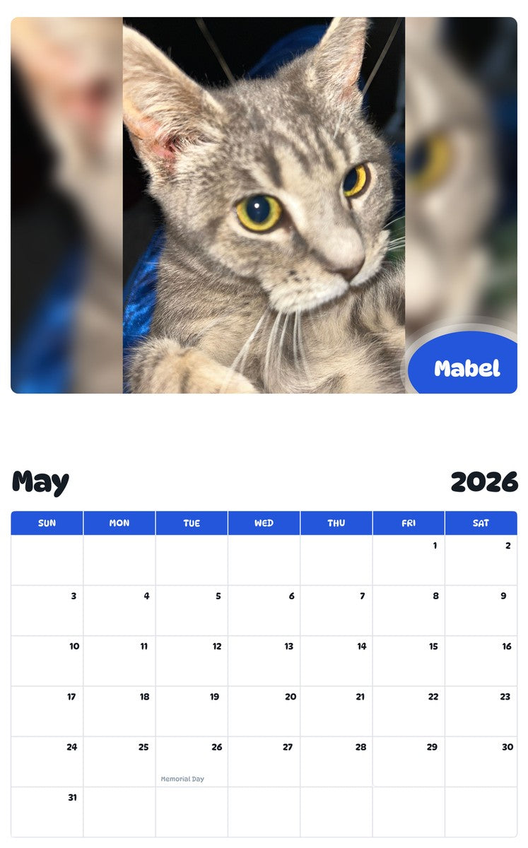 2026 - 2027 Mabel - Pawidols Pet Calendar