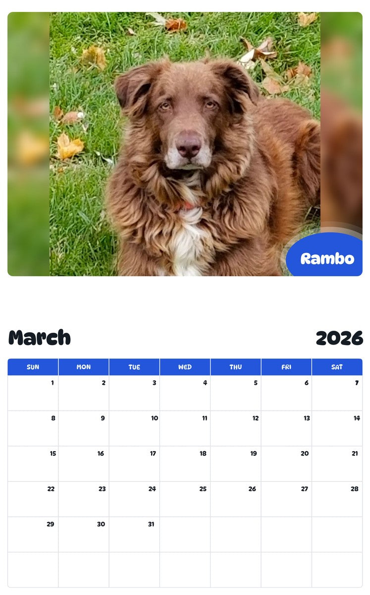 November 2025 - October 2026 Rambo - Pawidols Pet Calendar
