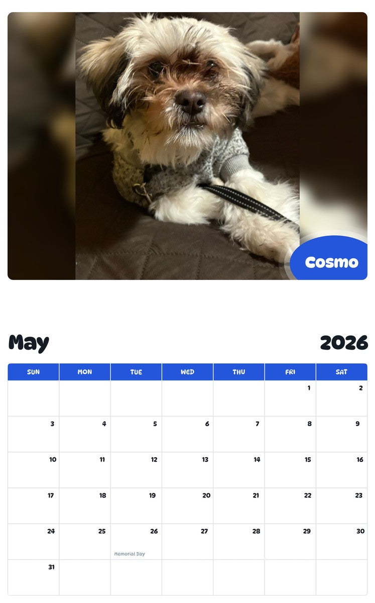 2026 - 2027 Cosmo - Pawidols Pet Calendar