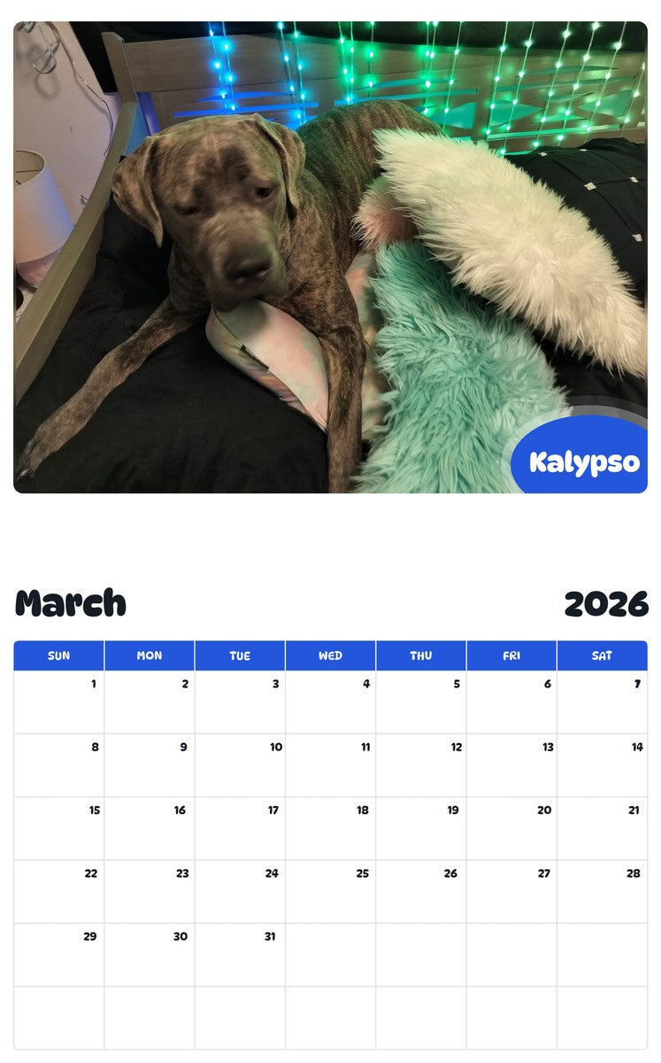 November 2025 - October 2026 Kalypso - Pawidols Pet Calendar