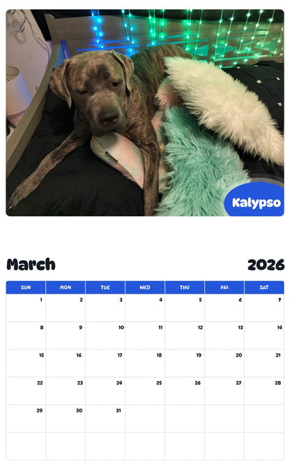 November 2025 - October 2026 Kalypso - Pawidols Pet Calendar