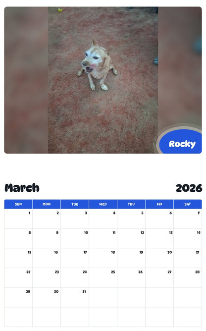 November 2025 - October 2026 Rocky - Pawidols Pet Calendar