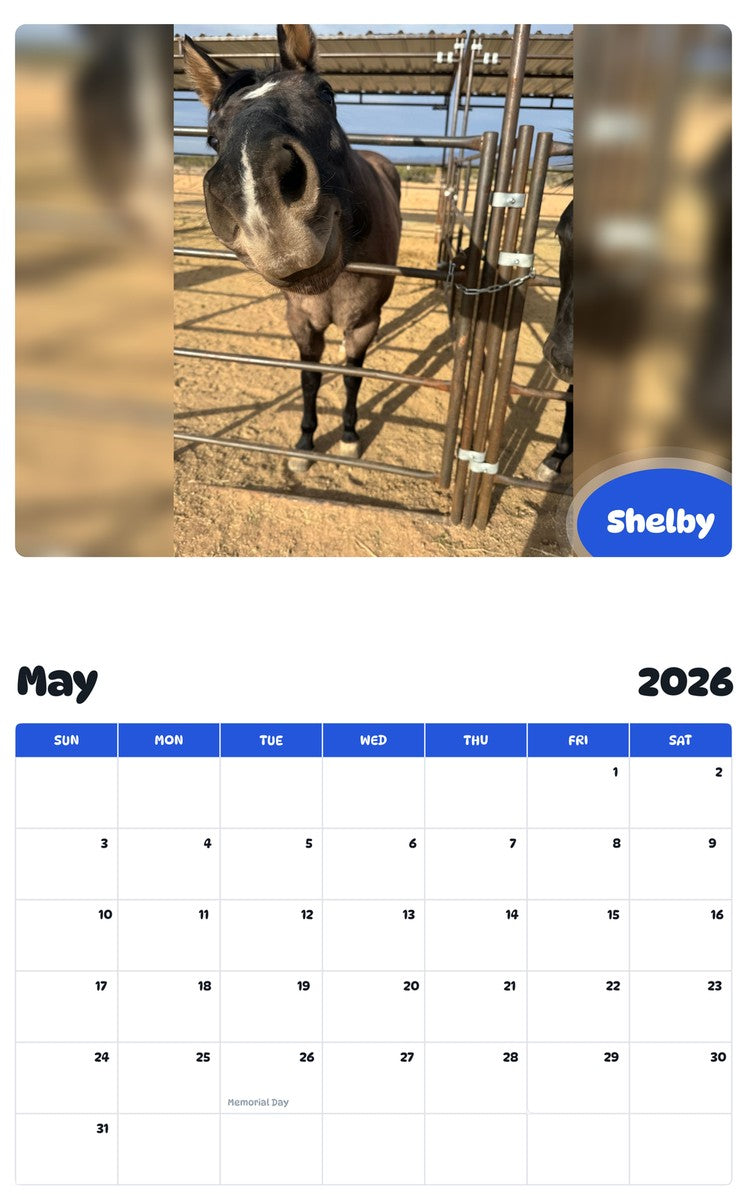 2026 - 2027 Shelby - Pawidols Pet Calendar