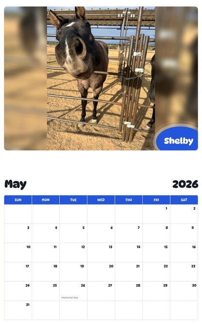 2026 - 2027 Shelby - Pawidols Pet Calendar
