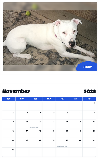 July 2025 - June 2026 Pinky - Pawidols Pet Calendar
