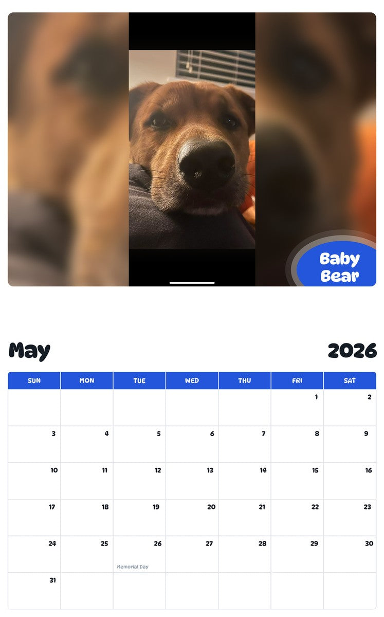 2026 - 2027 Baby Bear - Pawidols Pet Calendar