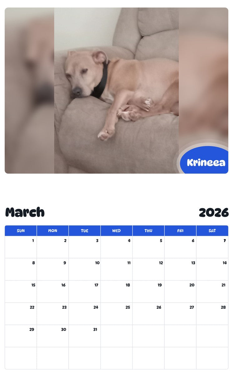 November 2025 - October 2026 Krineea - Pawidols Pet Calendar