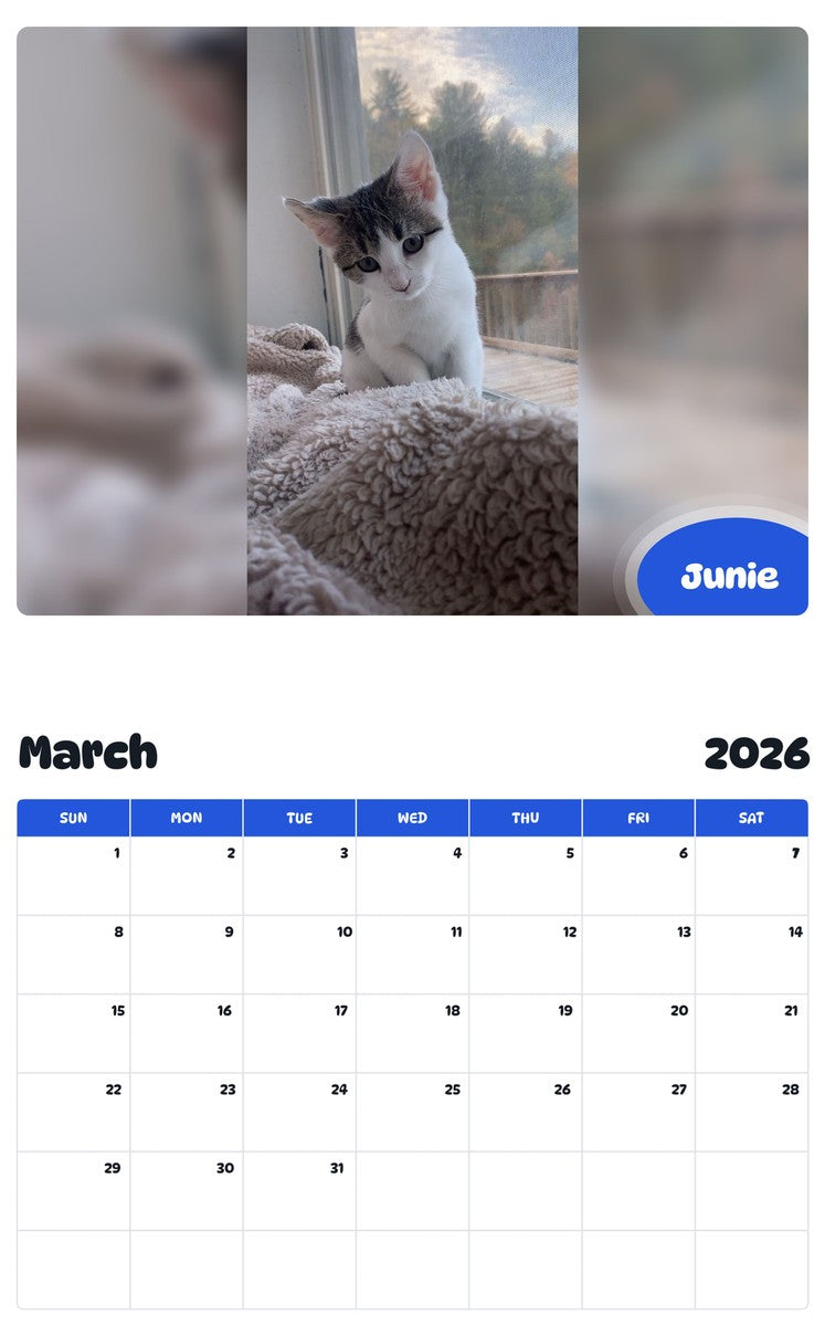 November 2025 - October 2026 Junie - Pawidols Pet Calendar