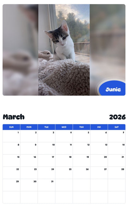 November 2025 - October 2026 Junie - Pawidols Pet Calendar