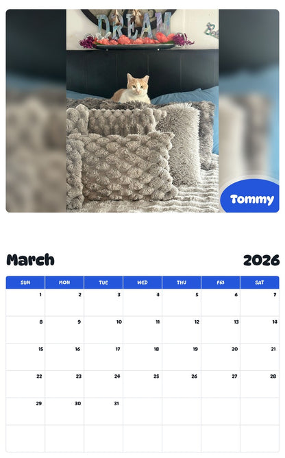 November 2025 - October 2026 Tommy - Pawidols Pet Calendar