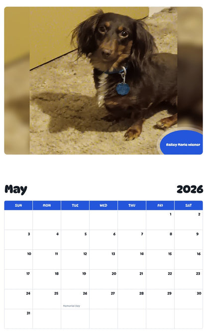2026 - 2027 Bailey Marie wiener - Pawidols Pet Calendar