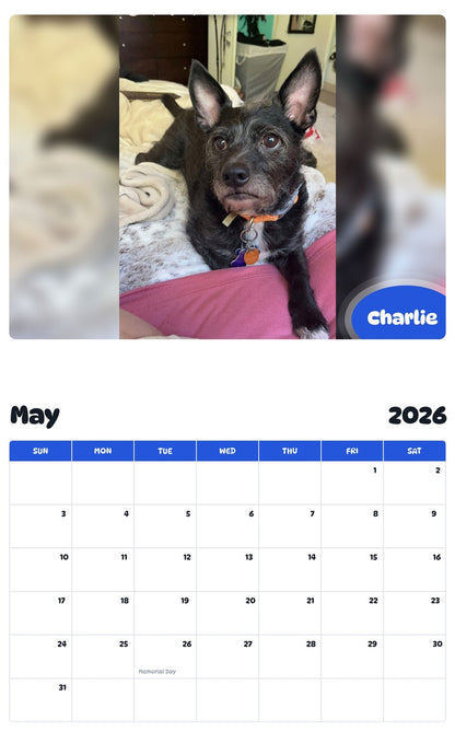 2026 - 2027 Charlie - Pawidols Pet Calendar