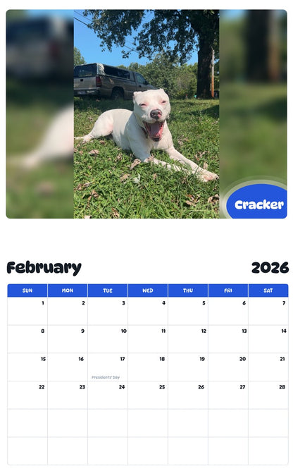 October 2025 - September 2026 Cracker - Pawidols Pet Calendar