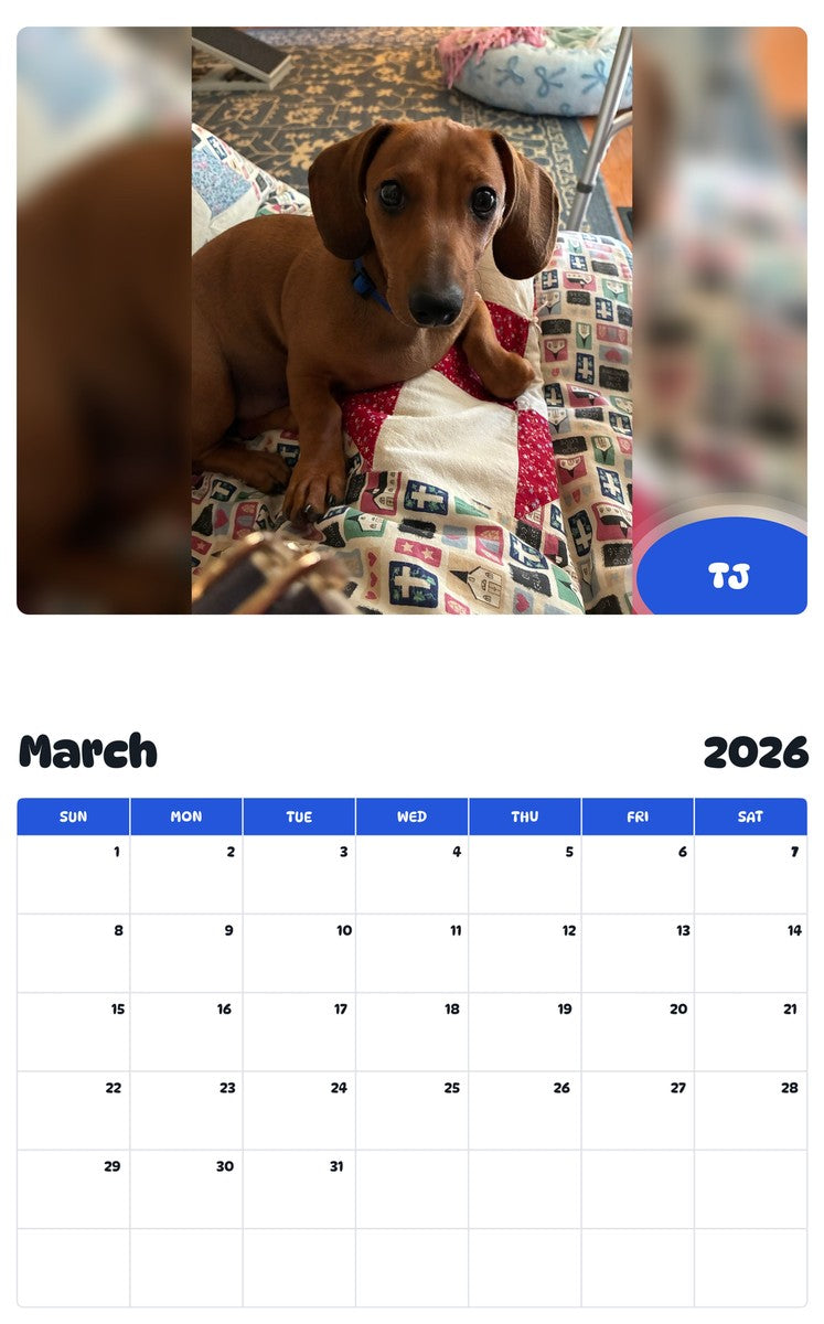 November 2025 - October 2026 TJ - Pawidols Pet Calendar