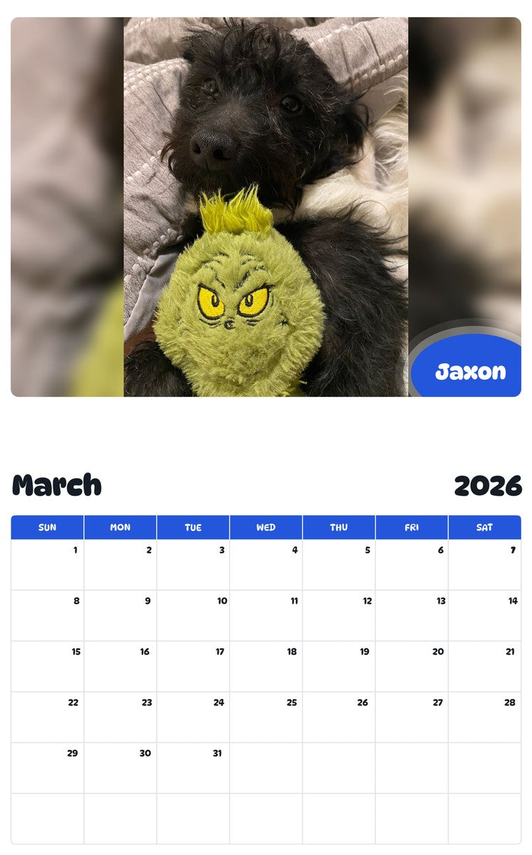 November 2025 - October 2026 Jaxon - Pawidols Pet Calendar