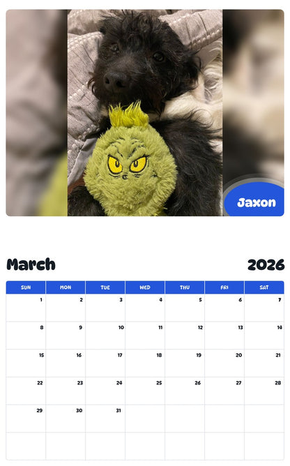 November 2025 - October 2026 Jaxon - Pawidols Pet Calendar