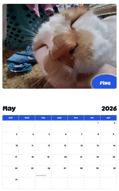 2026 - 2027 Pixe - Pawidols Pet Calendar