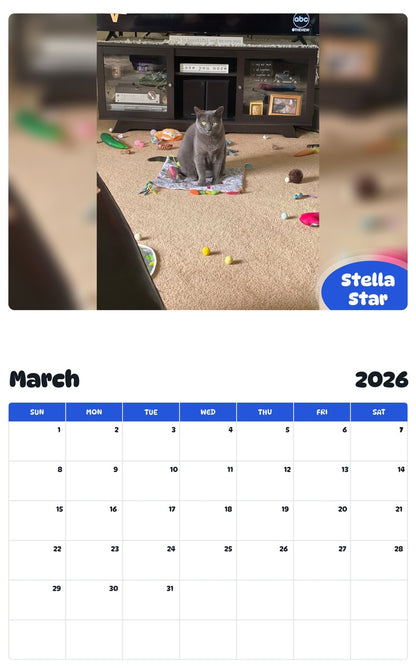 November 2025 - October 2026 Stella Star - Pawidols Pet Calendar