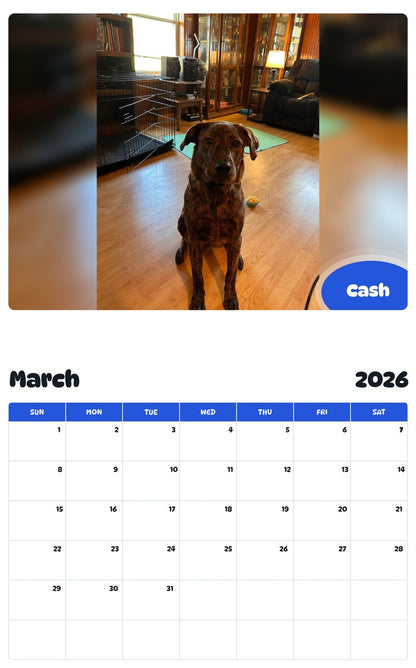 November 2025 - October 2026 Cash - Pawidols Pet Calendar