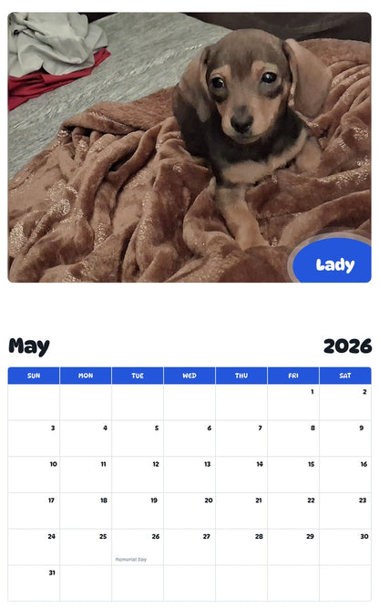 2026 - 2027 Lady - Pawidols Pet Calendar