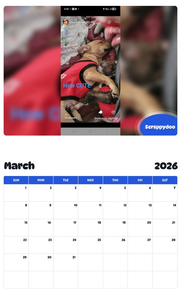 November 2025 - October 2026 Scrsppydoo - Pawidols Pet Calendar