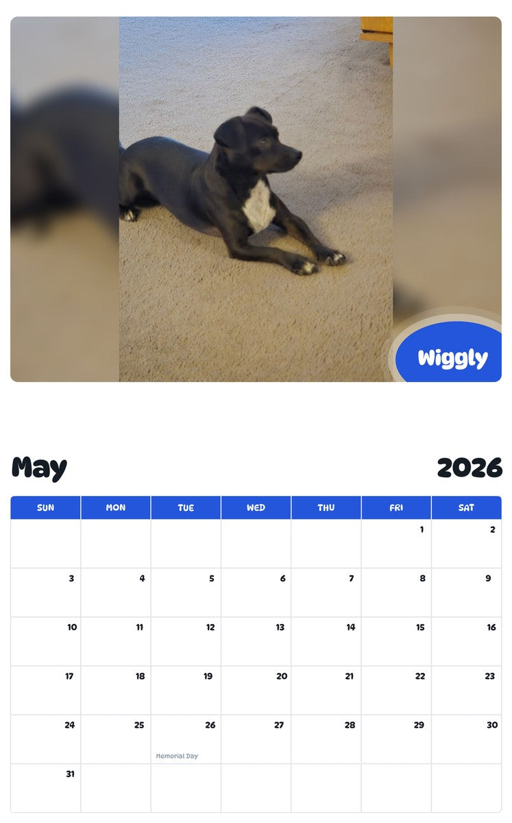 2026 - 2027 Wiggly - Pawidols Pet Calendar