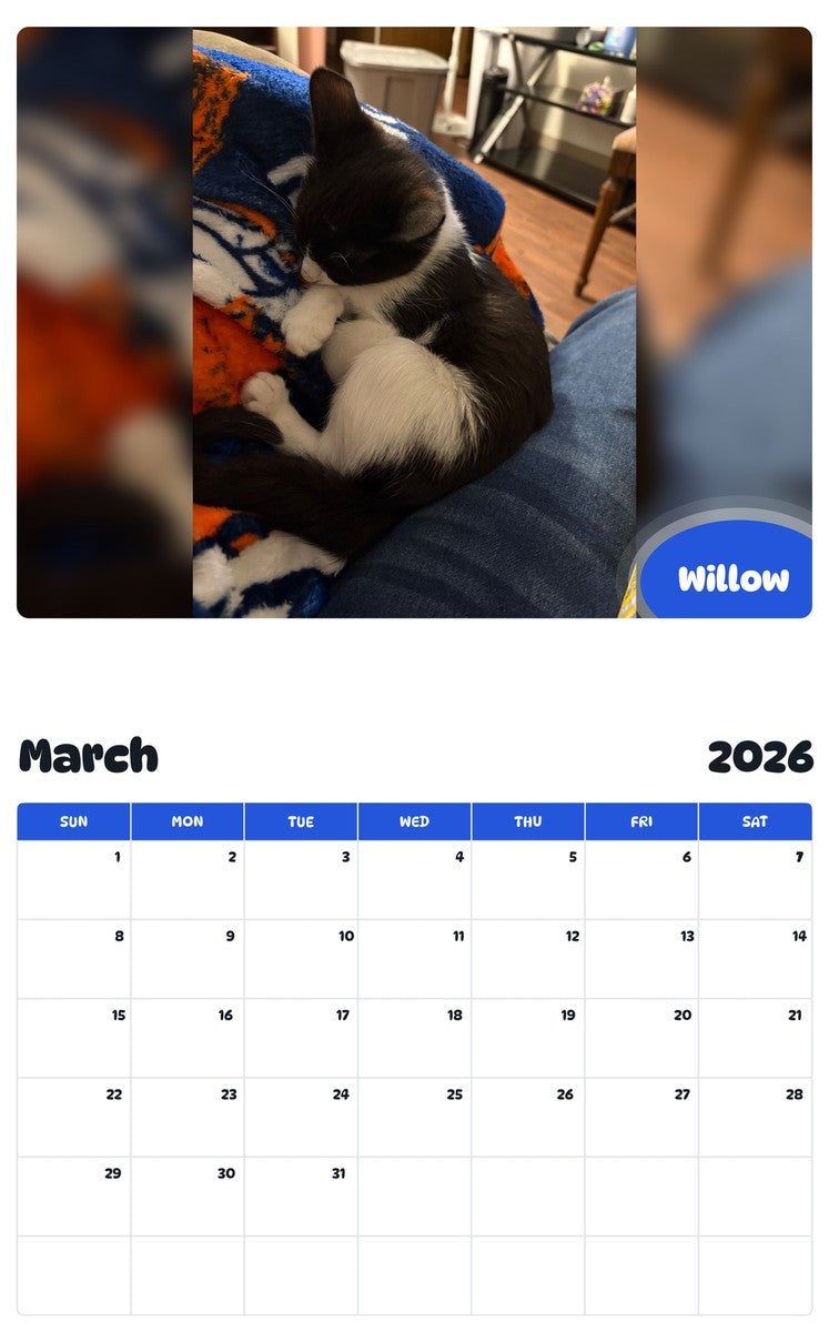 November 2025 - October 2026 Willow - Pawidols Pet Calendar