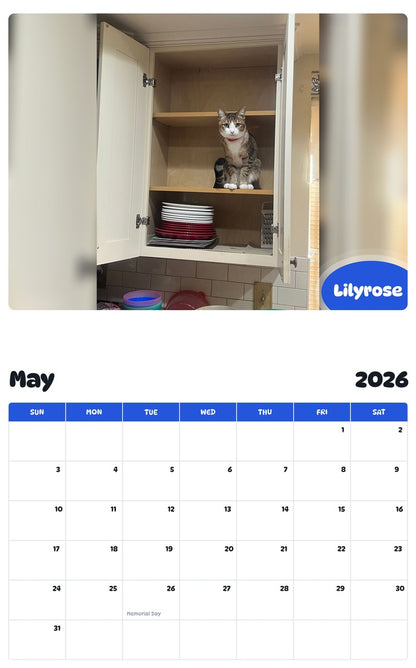 2026 - 2027 Lilyrose - Pawidols Pet Calendar