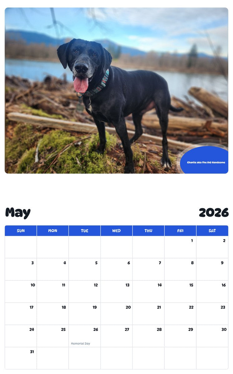 2026 - 2027 Charlie aka the BIG Handsome - Pawidols Pet Calendar