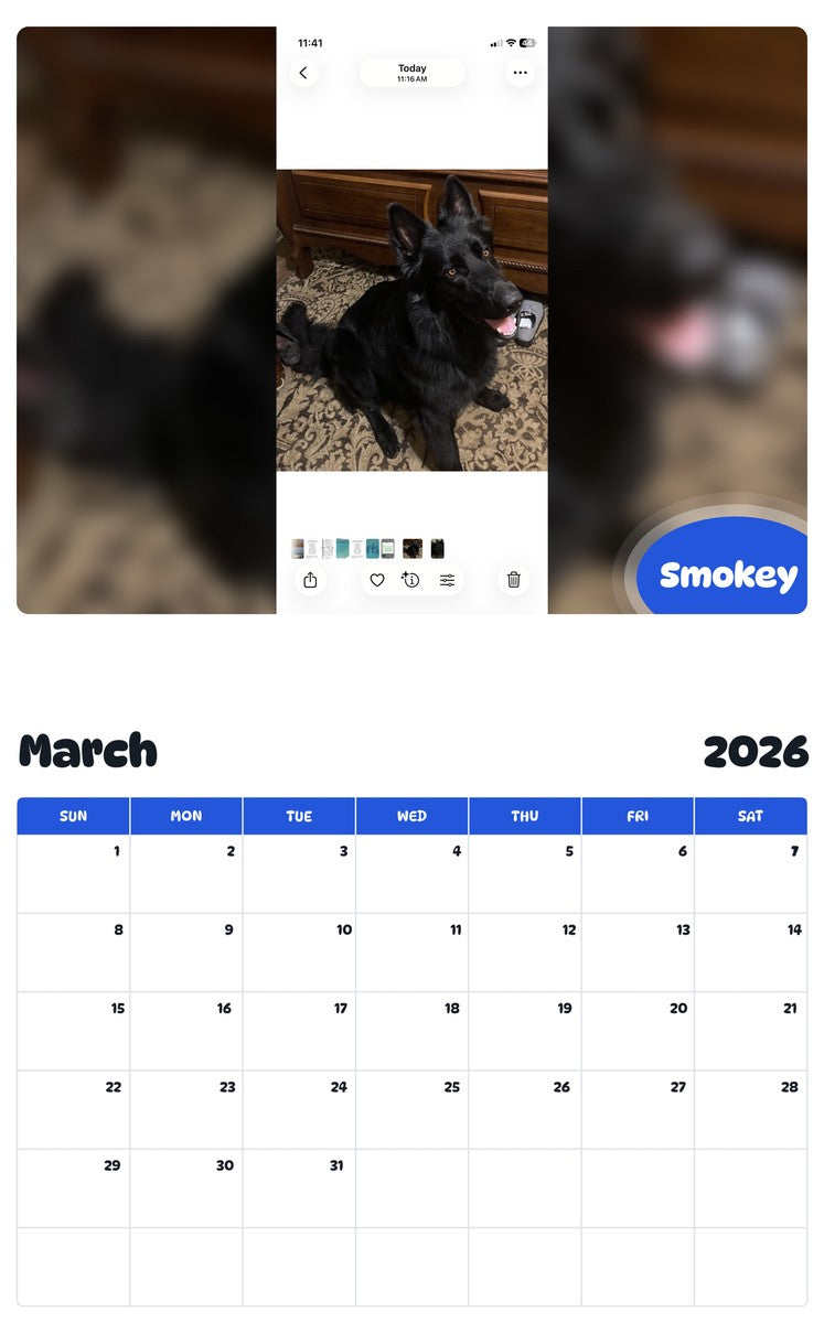 November 2025 - October 2026 Smokey - Pawidols Pet Calendar