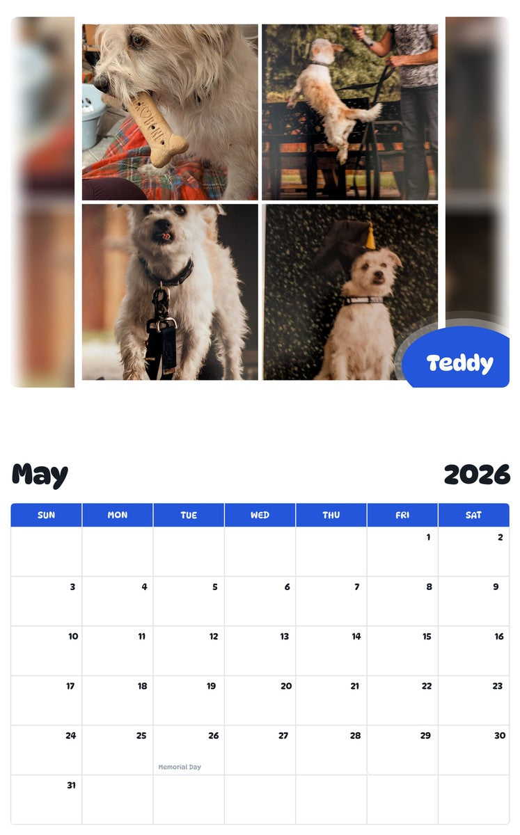 2026 - 2027 Teddy - Pawidols Pet Calendar