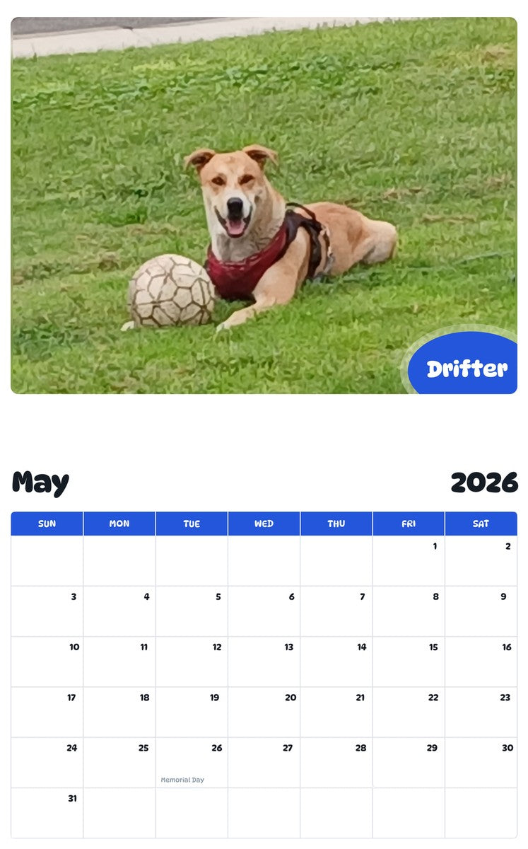 2026 - 2027 Drifter - Pawidols Pet Calendar