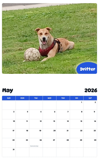 2026 - 2027 Drifter - Pawidols Pet Calendar