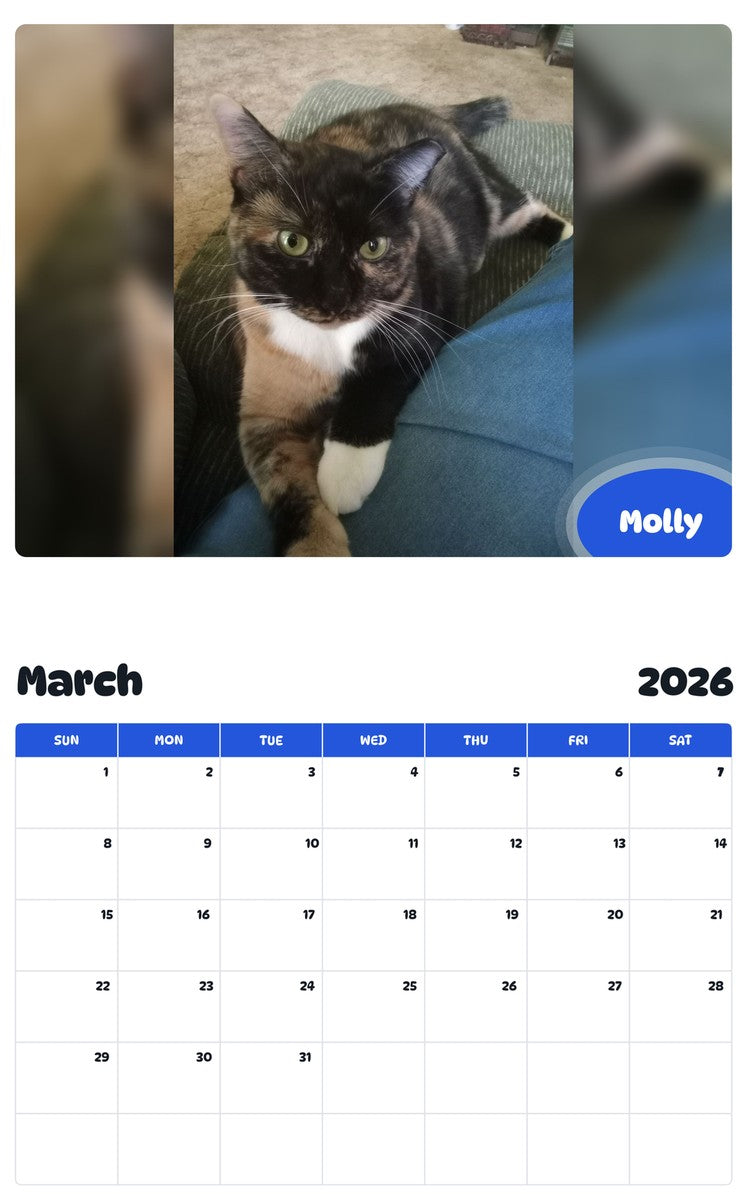 November 2025 - October 2026 Molly - Pawidols Pet Calendar