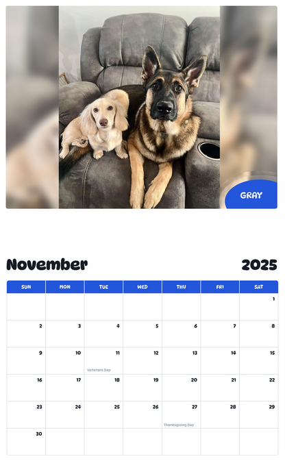 July 2025 - June 2026 Gray - Pawidols Pet Calendar