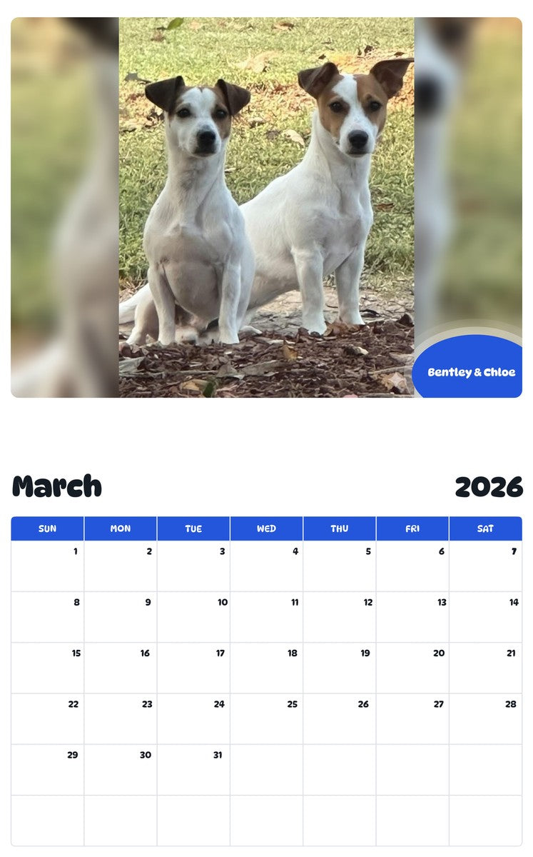 November 2025 - October 2026 Bentley & Chloe - Pawidols Pet Calendar
