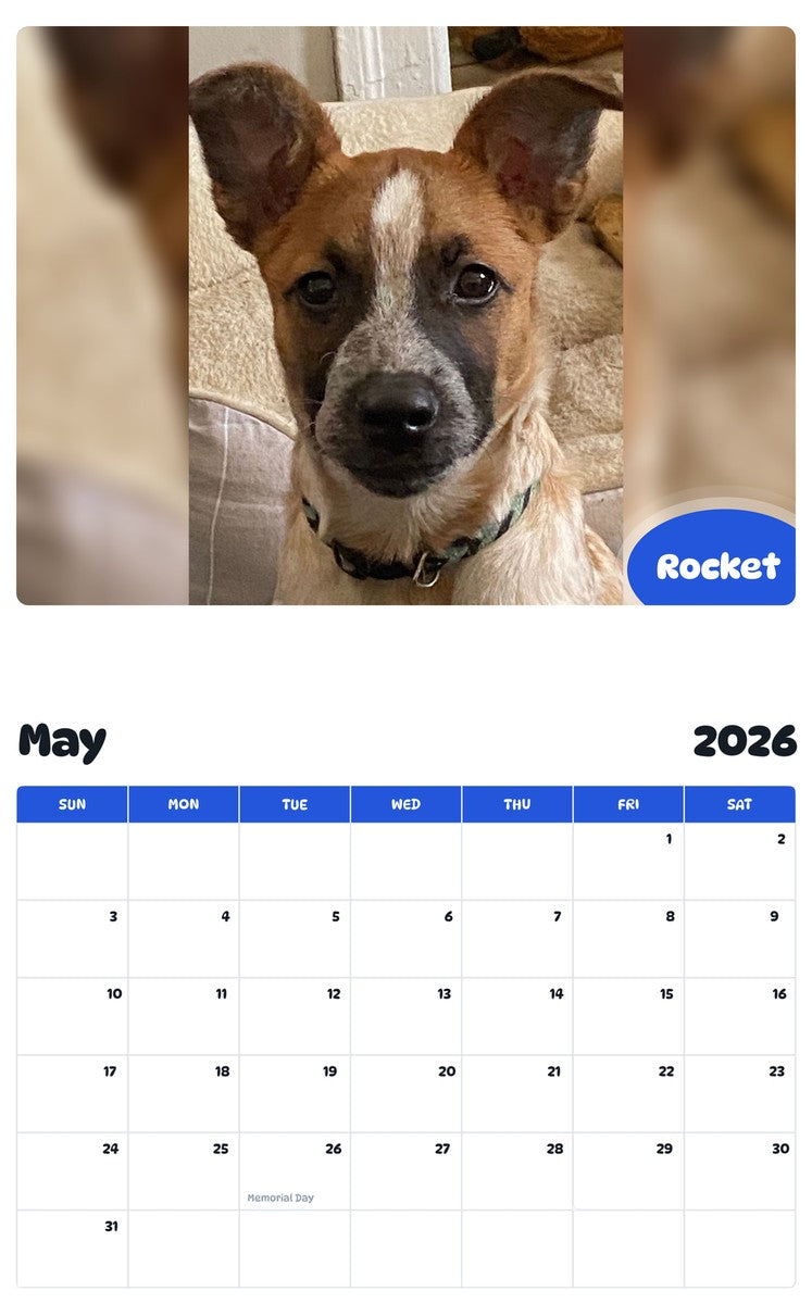 2026 - 2027 Rocket - Pawidols Pet Calendar