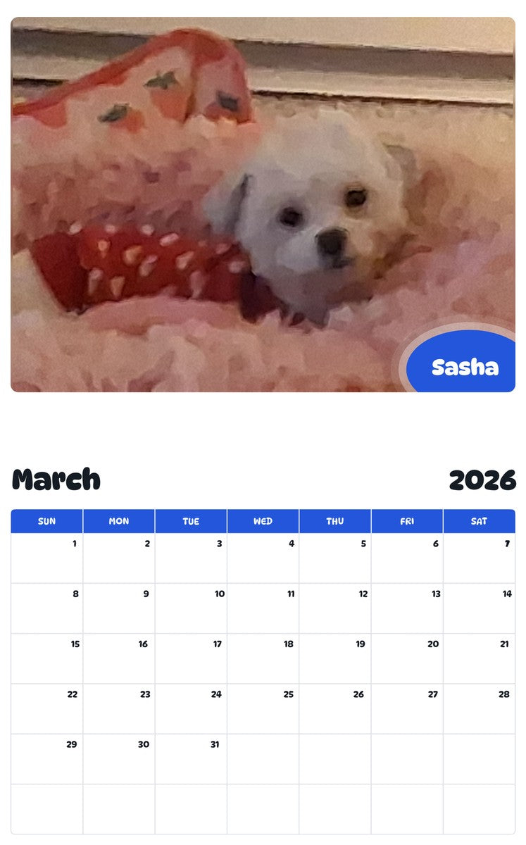 November 2025 - October 2026 Sasha - Pawidols Pet Calendar