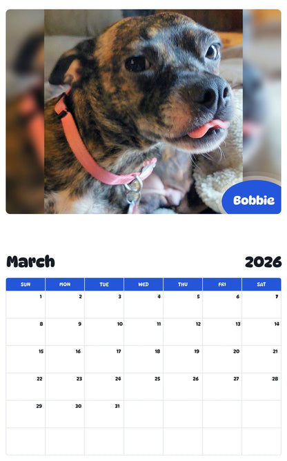 November 2025 - October 2026 Bobbie - Pawidols Pet Calendar