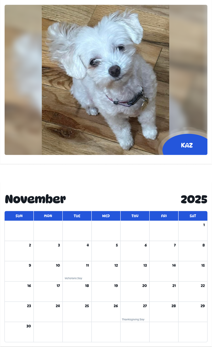 July 2025 - June 2026 Kaz - Pawidols Pet Calendar