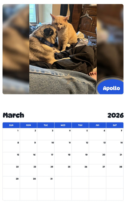 November 2025 - October 2026 Apollo - Pawidols Pet Calendar