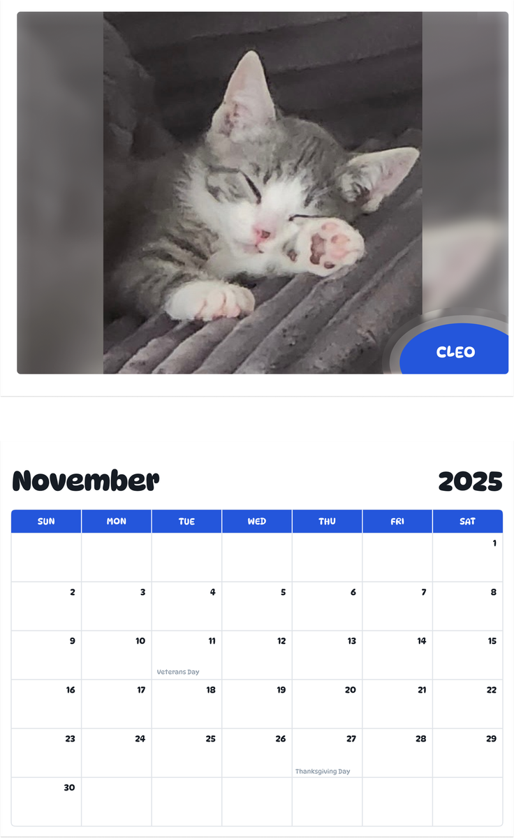 July 2025 - June 2026 Cleo - Pawidols Pet Calendar