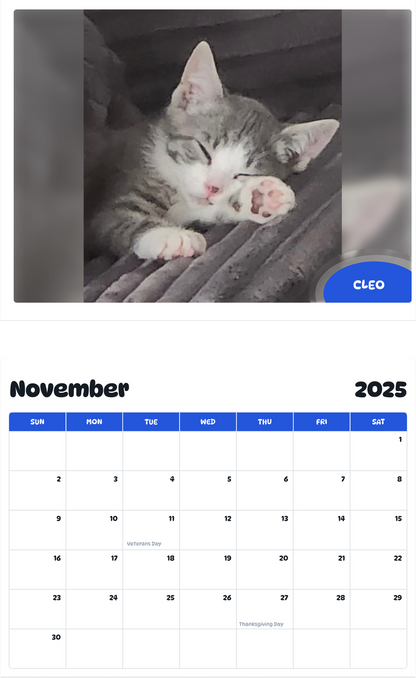 July 2025 - June 2026 Cleo - Pawidols Pet Calendar