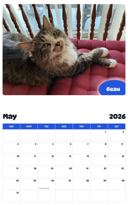 2026 - 2027 Beau - Pawidols Pet Calendar