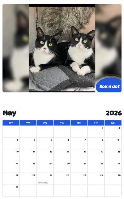 2026 - 2027 Sox n dot - Pawidols Pet Calendar