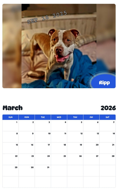 November 2025 - October 2026 Ripp - Pawidols Pet Calendar