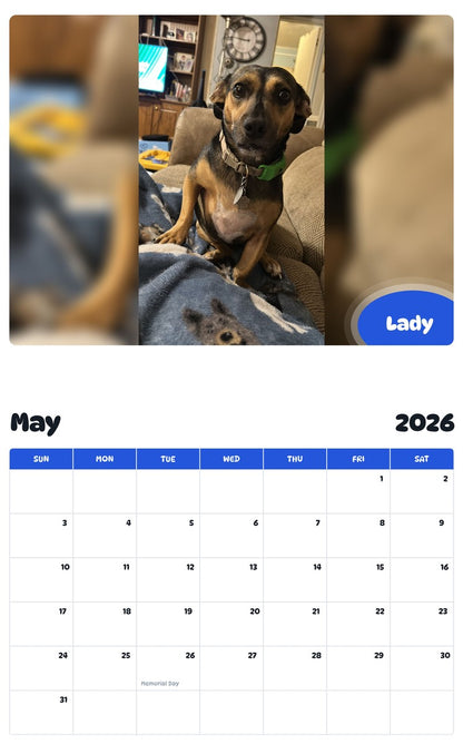 2026 - 2027 Lady - Pawidols Pet Calendar