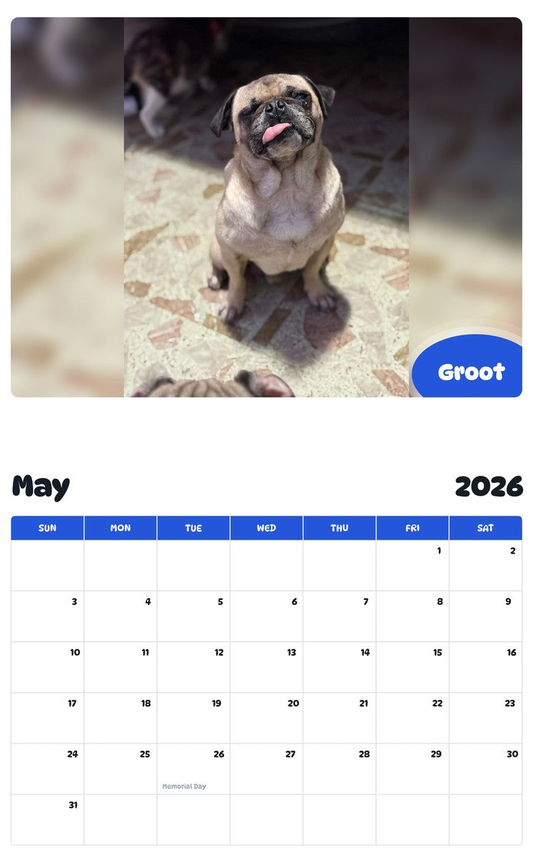 2026 - 2027 Groot - Pawidols Pet Calendar
