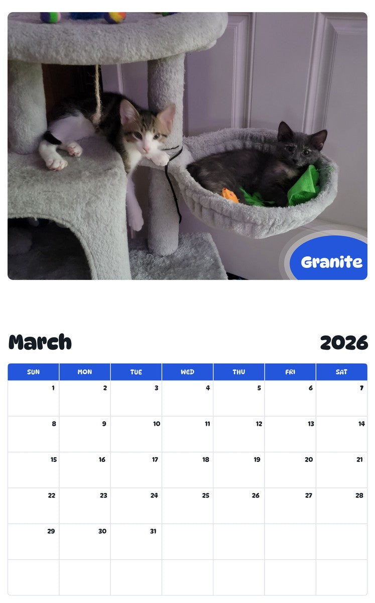 November 2025 - October 2026 Granite - Pawidols Pet Calendar