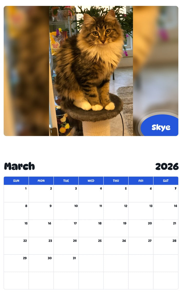 November 2025 - October 2026 Skye - Pawidols Pet Calendar